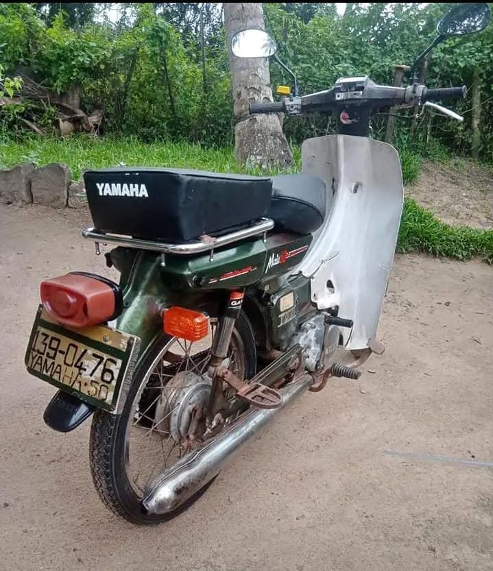 Yamaha Mate